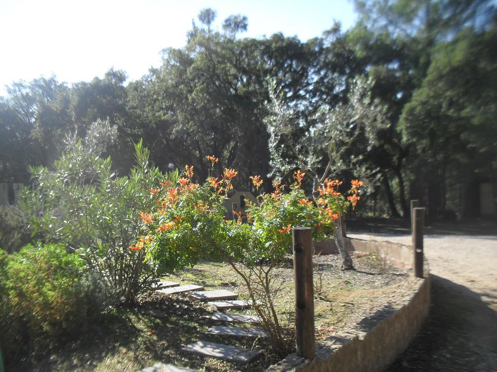 Quinta Do Outeiro Alto Villa Constância Exterior foto
