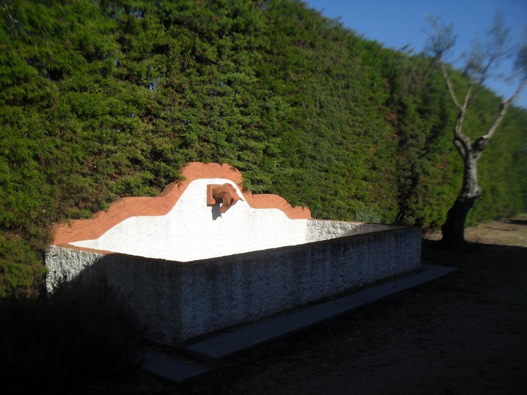 Quinta Do Outeiro Alto Villa Constância Exterior foto