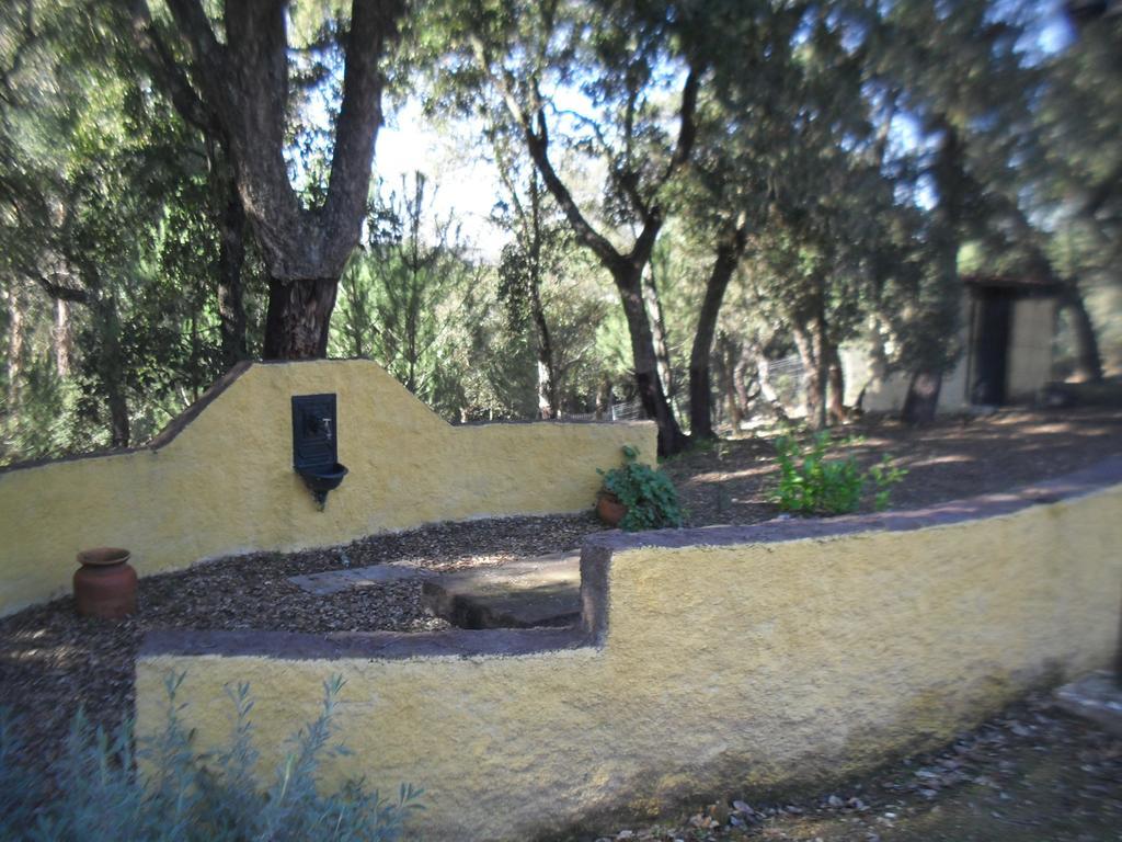 Quinta Do Outeiro Alto Villa Constância Exterior foto