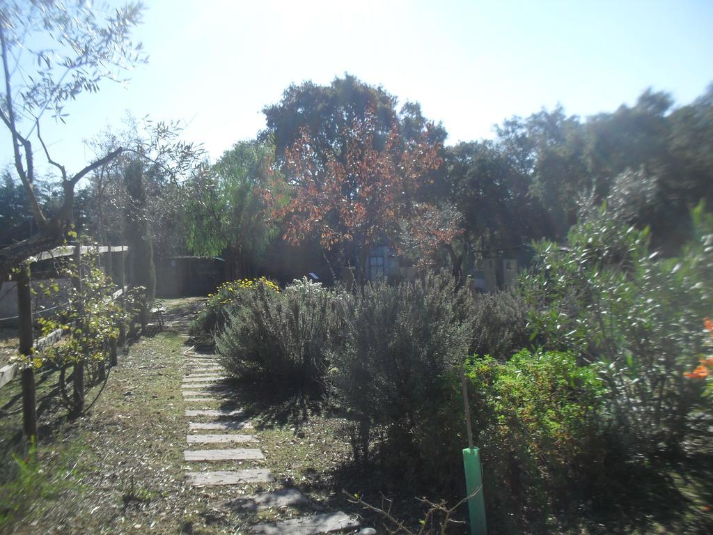 Quinta Do Outeiro Alto Villa Constância Exterior foto