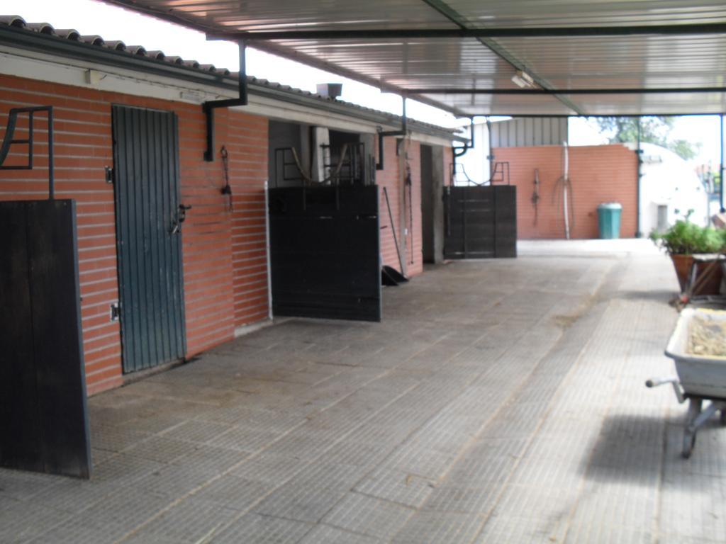 Quinta Do Outeiro Alto Villa Constância Exterior foto