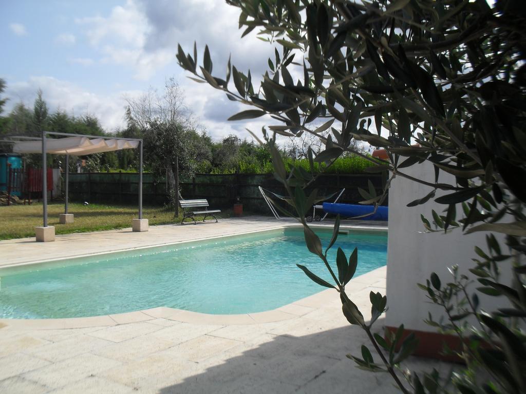 Quinta Do Outeiro Alto Villa Constância Exterior foto