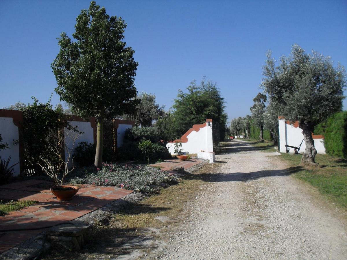 Quinta Do Outeiro Alto Villa Constância Exterior foto